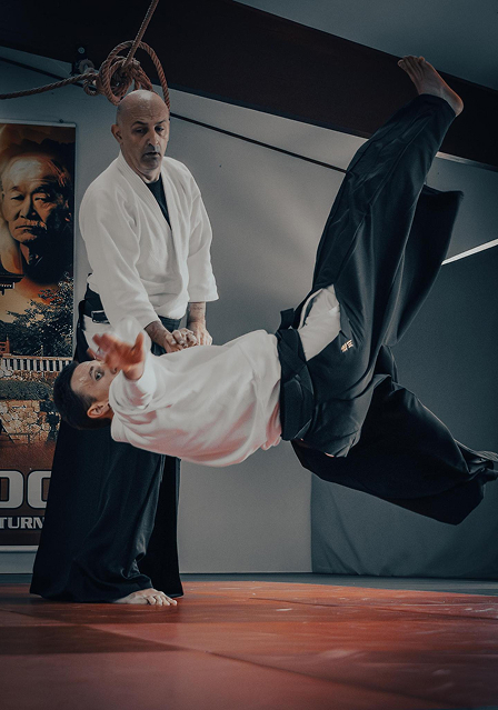 Zanima te aikido?